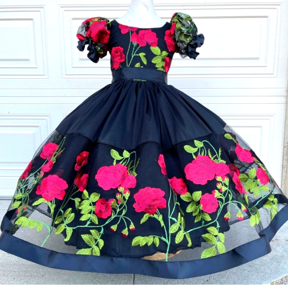 Rose embroidery party dress - Picture 1 of 1